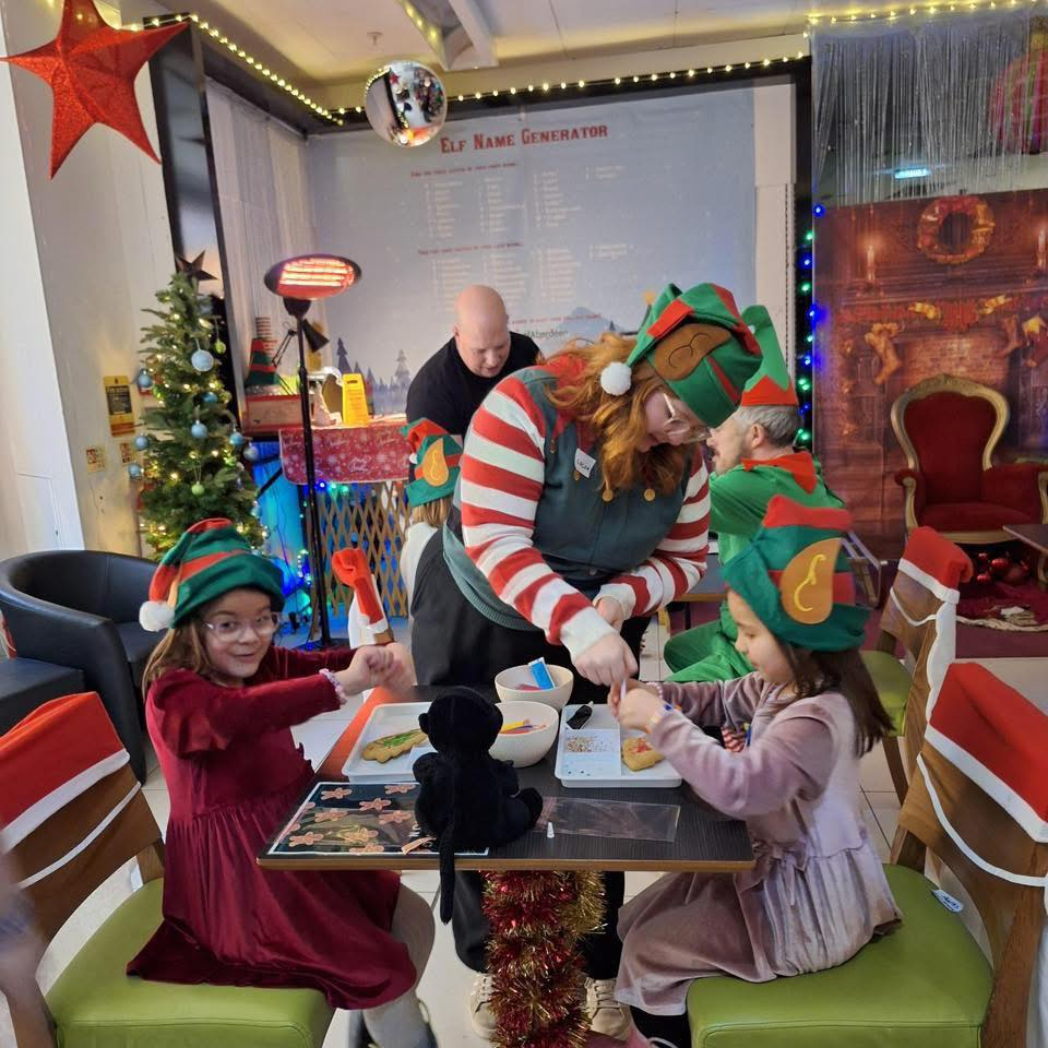 Elf School 2025